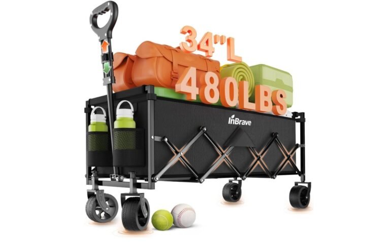Beach wagon cart rental in Aruba
